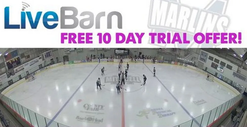 How To Make The Most Of Livebarn’s Free Trial Period