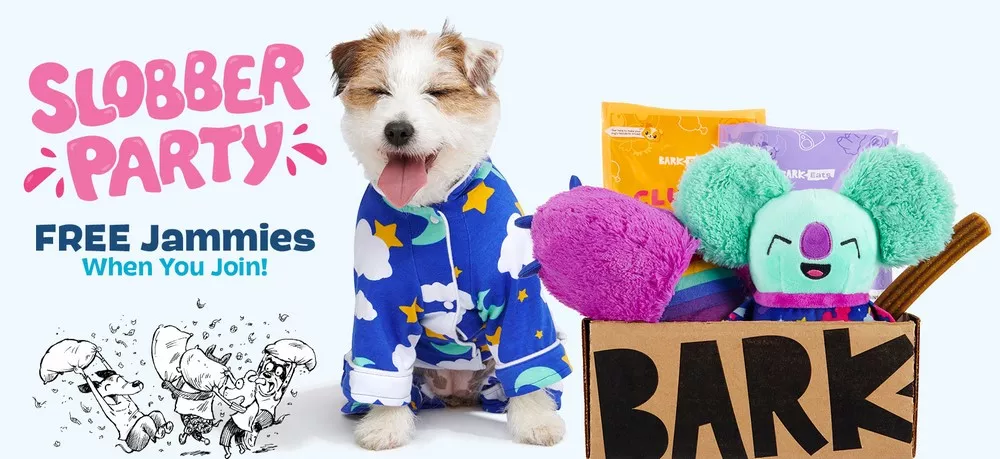 How To Save Money With Barkbox Coupons